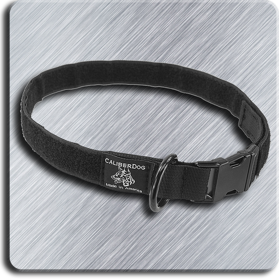 CALIBERDOG 1" ID COLLAR