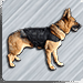 CaliberDog K9 Tactical  Vest