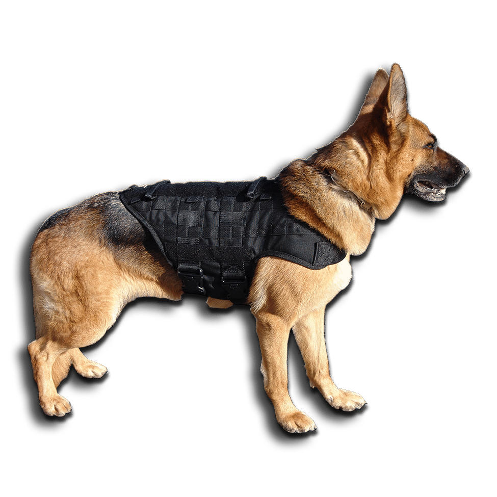 CaliberDog K9 Tactical  Vest