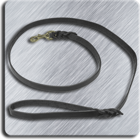 CaliberDog Braided Leather Leash