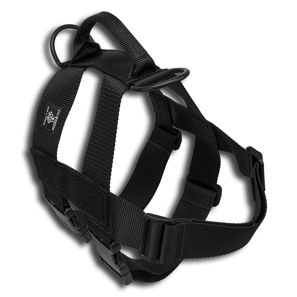 CAILBERDOG PATROL DOUBLE GIRTH HARNESS