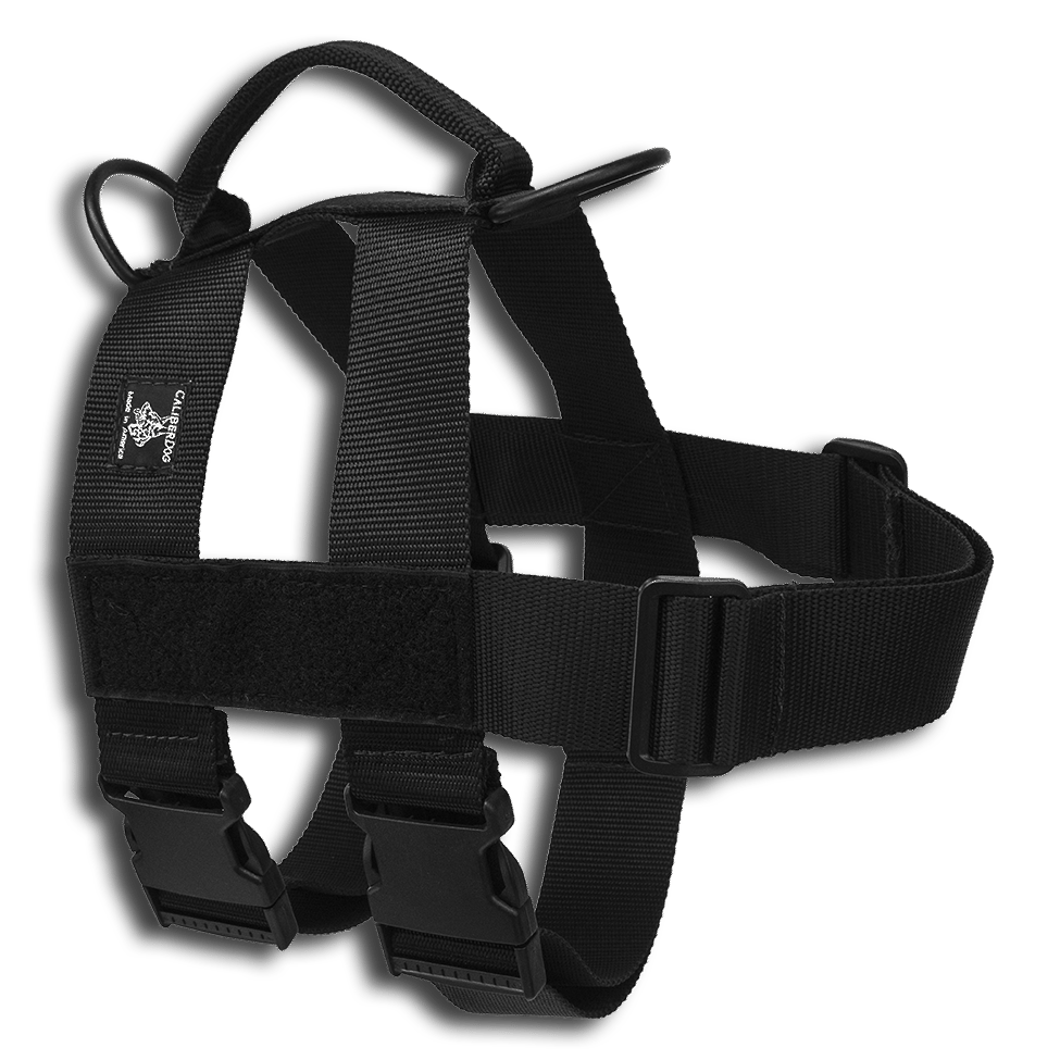 CAILBERDOG PATROL DOUBLE GIRTH HARNESS