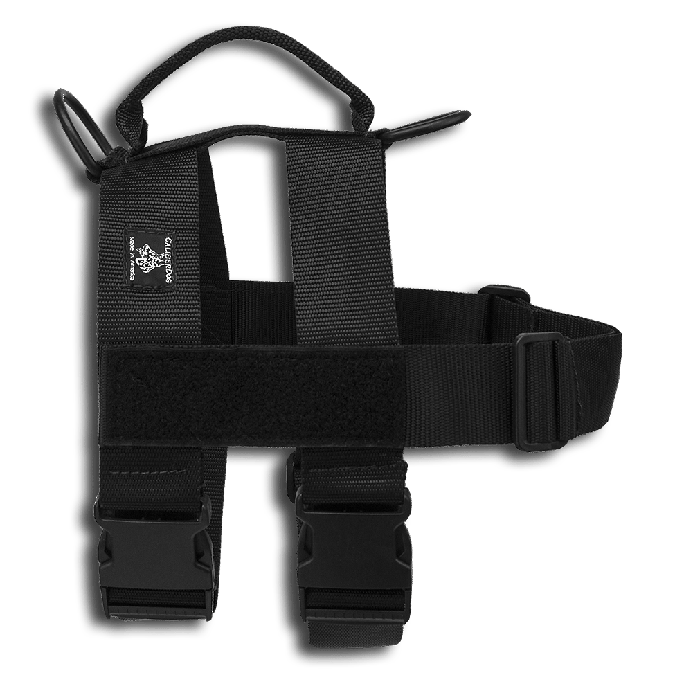 CAILBERDOG PATROL DOUBLE GIRTH HARNESS